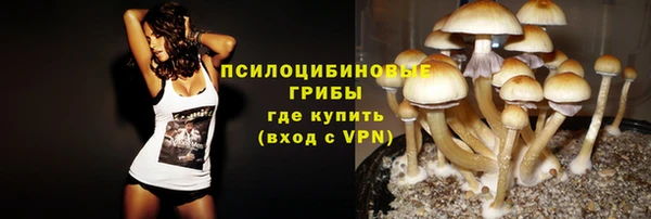 2c-b Усмань