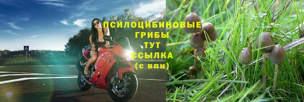 бошки Усолье-Сибирское