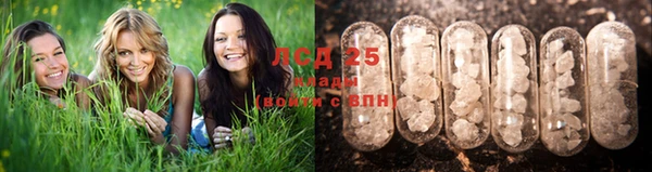 бошки Усолье-Сибирское