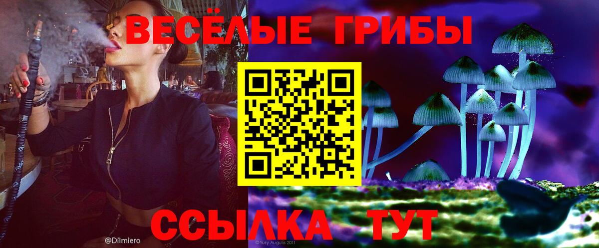 Шебекино  Галлюциногенные грибы Psilocybine cubensis  Вход с VPN  Псилоцибиновые грибы GOLDEN TEACHER 